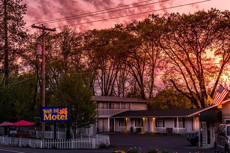 Maple Leaf Motel Shady Cove Exterior foto